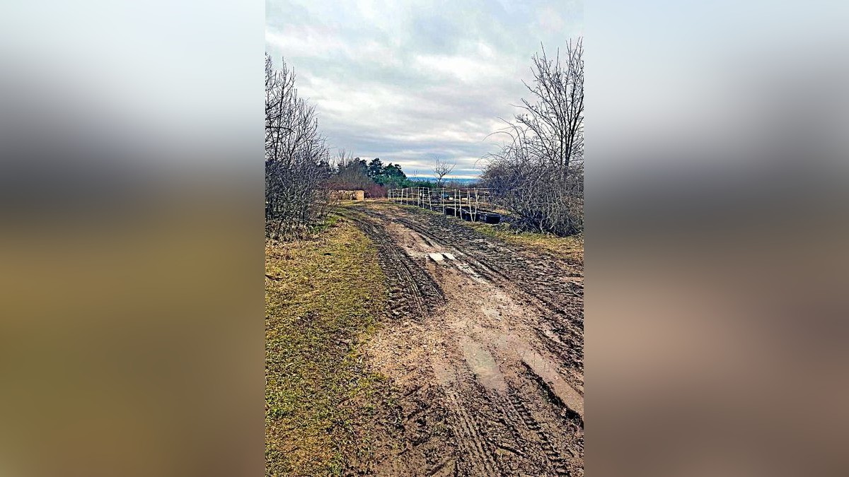 An diesem Feldweg zwischen Hottelstedt und Daasdorf am Berge fand eine Spaziergängerin die getöteten Tiere.