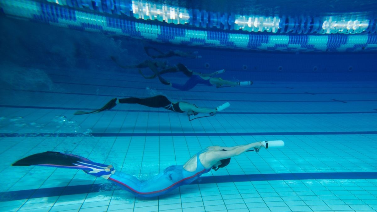 Bilder von den Meisterschaften im Flossenschwimmen.