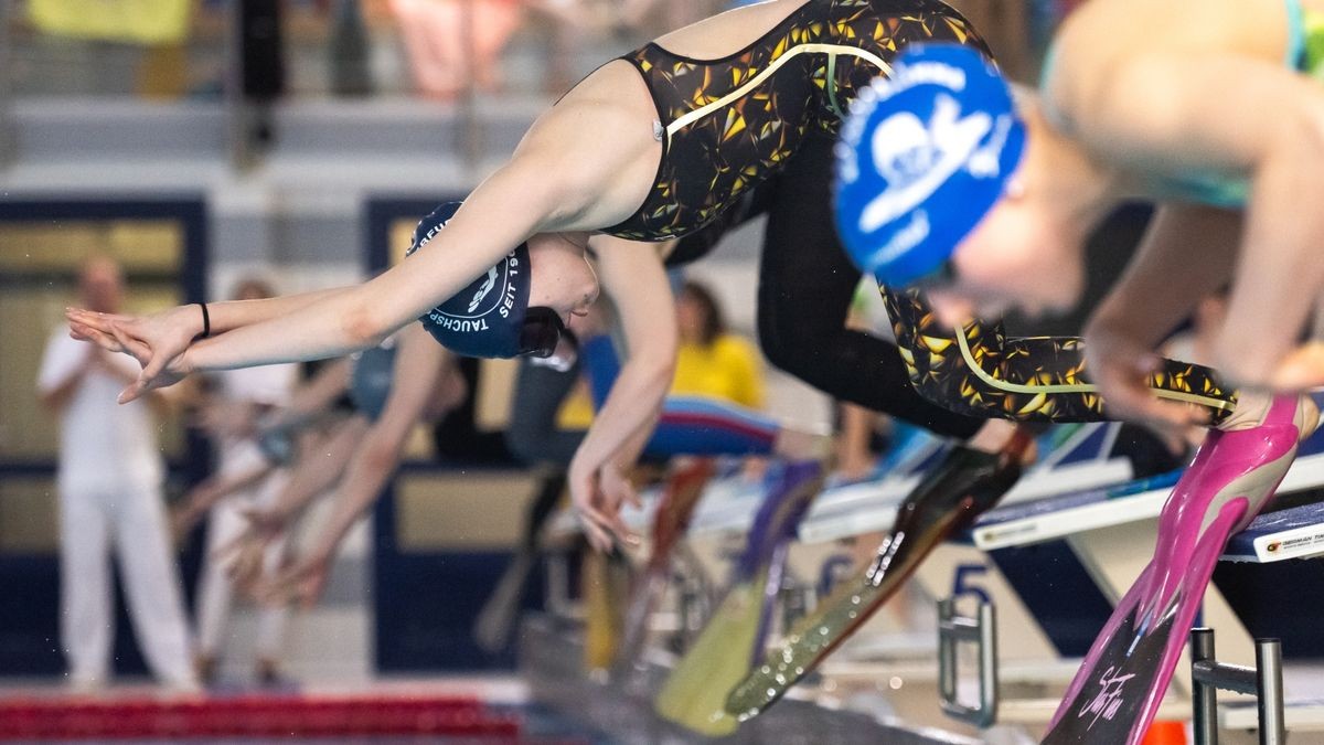 Bilder von den Meisterschaften im Flossenschwimmen.