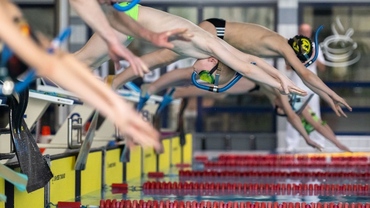 Bilder von den Meisterschaften im Flossenschwimmen.