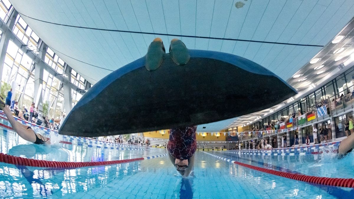 Bilder von den Meisterschaften im Flossenschwimmen.