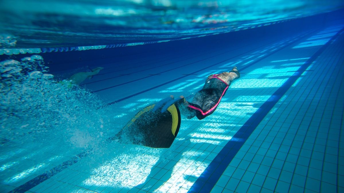 Bilder von den Meisterschaften im Flossenschwimmen.