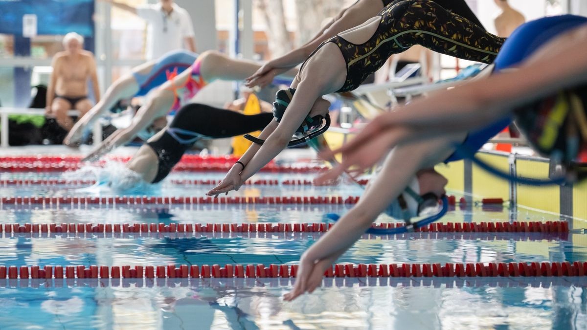 Bilder von den Meisterschaften im Flossenschwimmen.