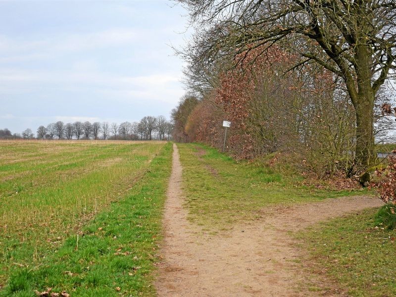 Büchen Trampelpfad wird zum Fahrradweg Land übernimmt Kosten