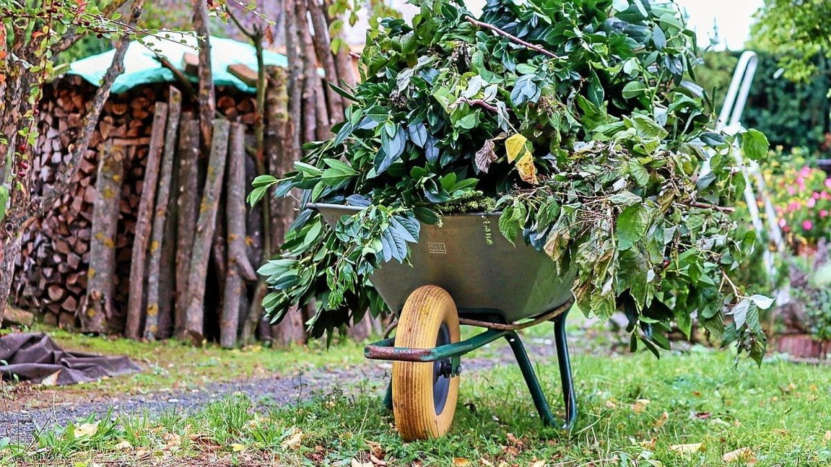Baum- Strauchschnitt und Gartenabfälle werden am 8. April in der städtischen Kompostieranlage Teichmühle in Bad Frankenhausen wieder entgegen genommen.