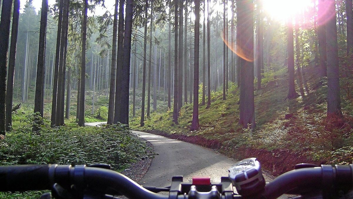 Der Radweg durch das Körnbachtal bei Elgersburg ist Teil der Waldrandroute.