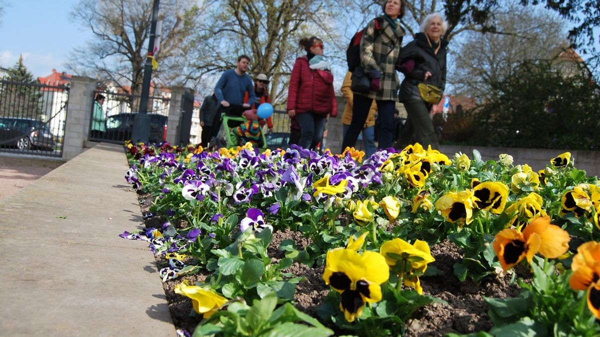 Auf der kinderwagentauglichen Strecke im Kartausgarten.