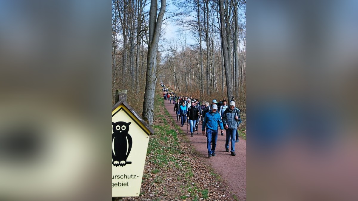 Ein langer Lindwurm an Spaziergängern zog sich auf der roten Route hinunter zur Sängerwiese: