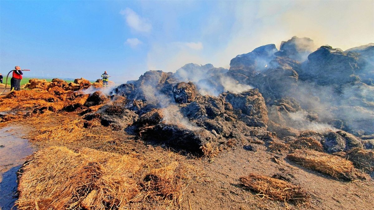 Rund 17 Stunden nachdem der erste Strohdiemenbrand am Reinsdorfer Ortsrand gemeldet wurde, lodern unter der Asche immer noch Flammen. Die Löscharbeiten dauern an.