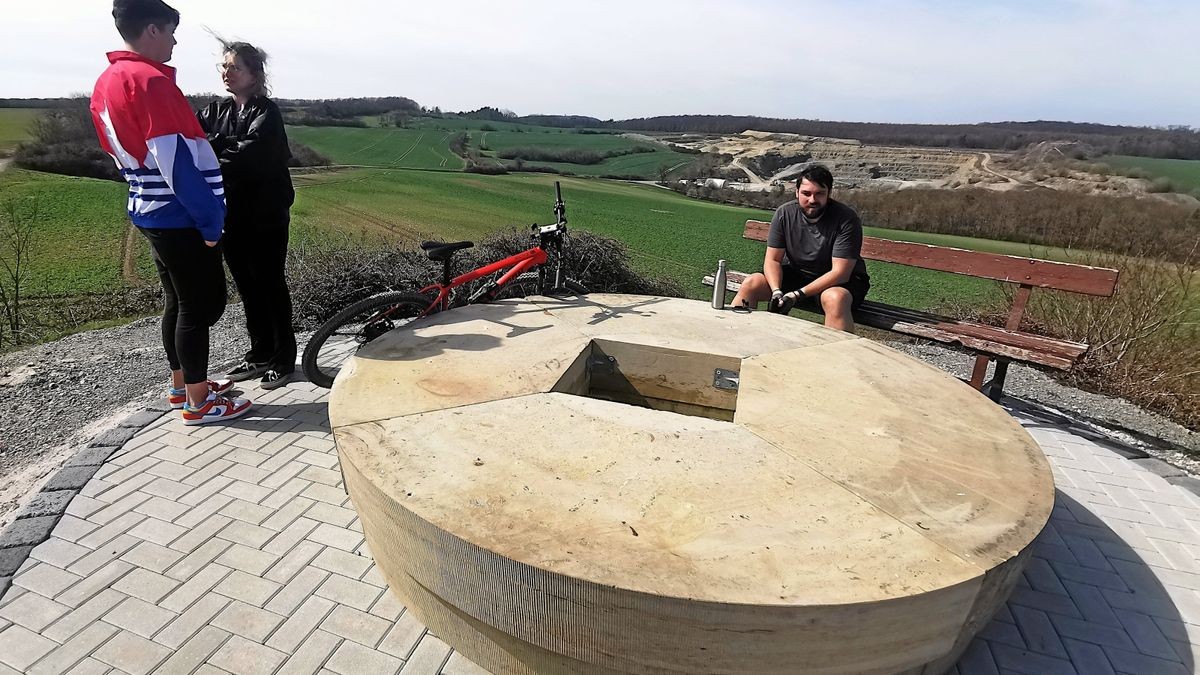 Seltsame Steinringe auf der Scherbdaer Höhe