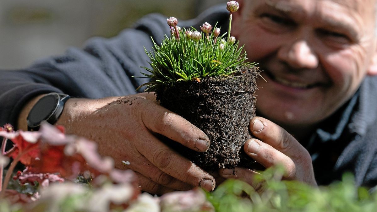 Die Landesgartenschau in Bad Gandersheim ist