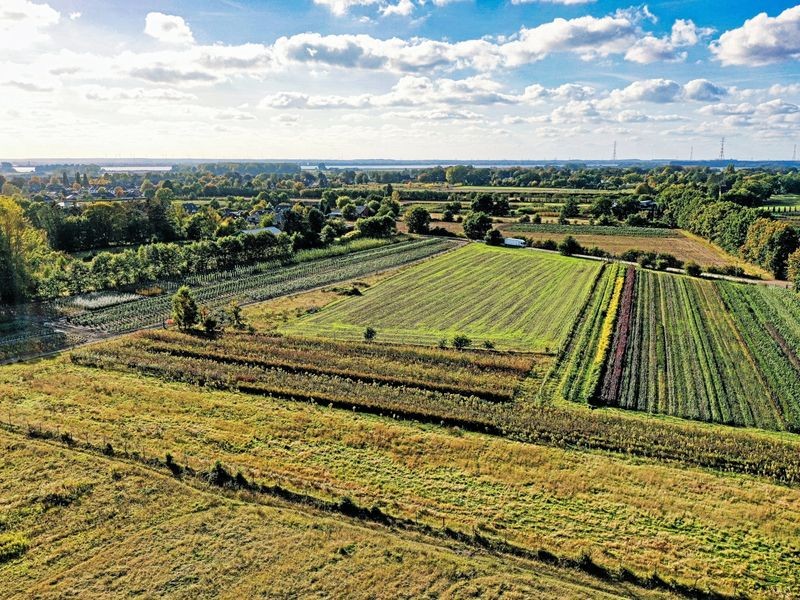Protest gegen Baugebiet Wedel Nord: Stimmen die Bürger bald selbst ab?