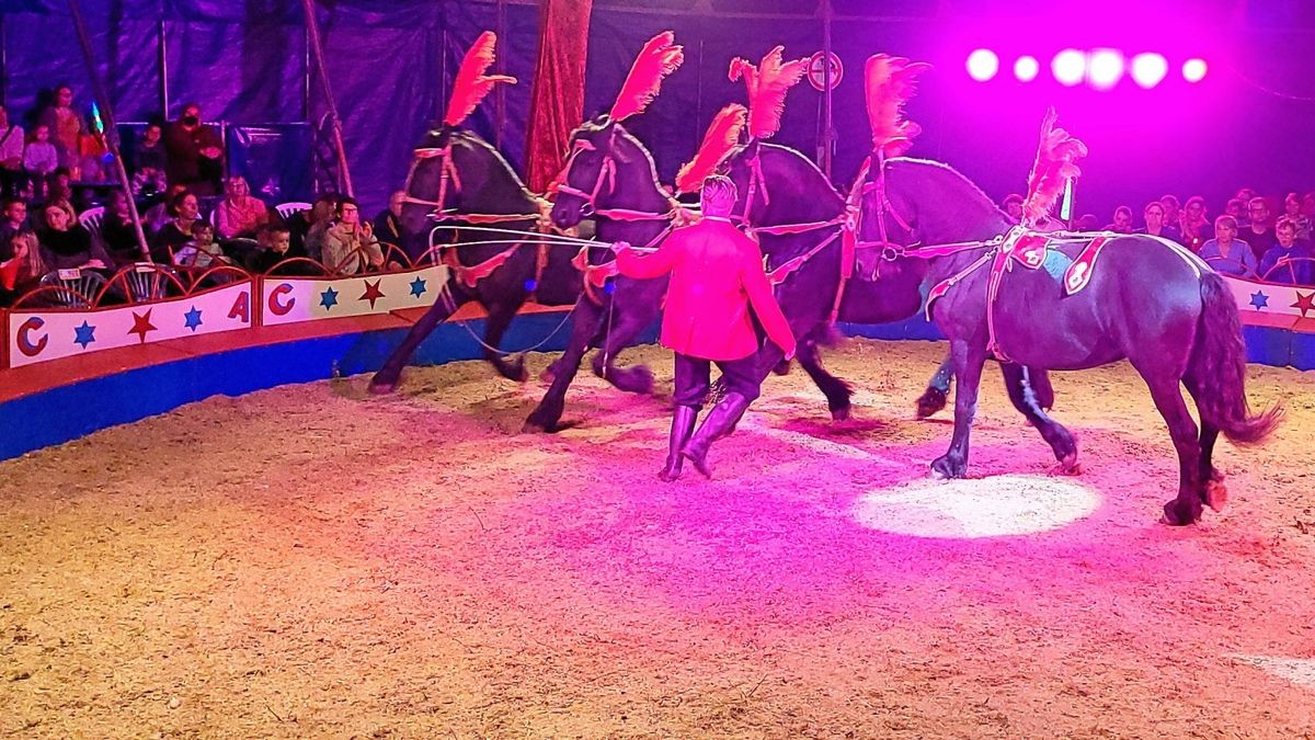 Manege frei Circus Antoni erstmals in Herne zu Besuch