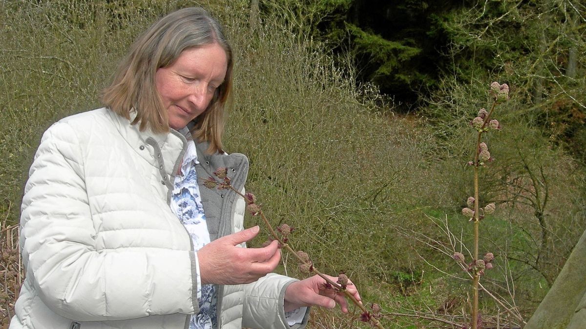 Ennepetal: Aus dem Kindergarten in die Wildnisschule