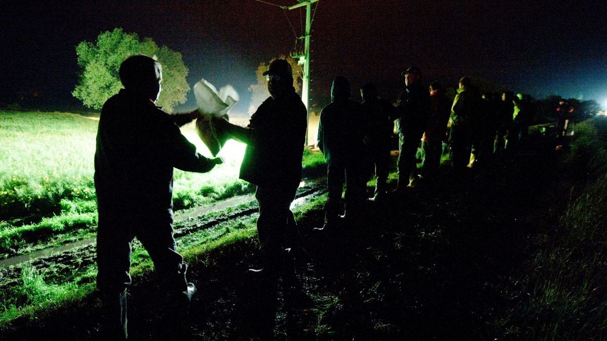 Auch in der Nacht kämpften die Menschen in Walschleben gegen einen drohenden Dammbruch der Gera.