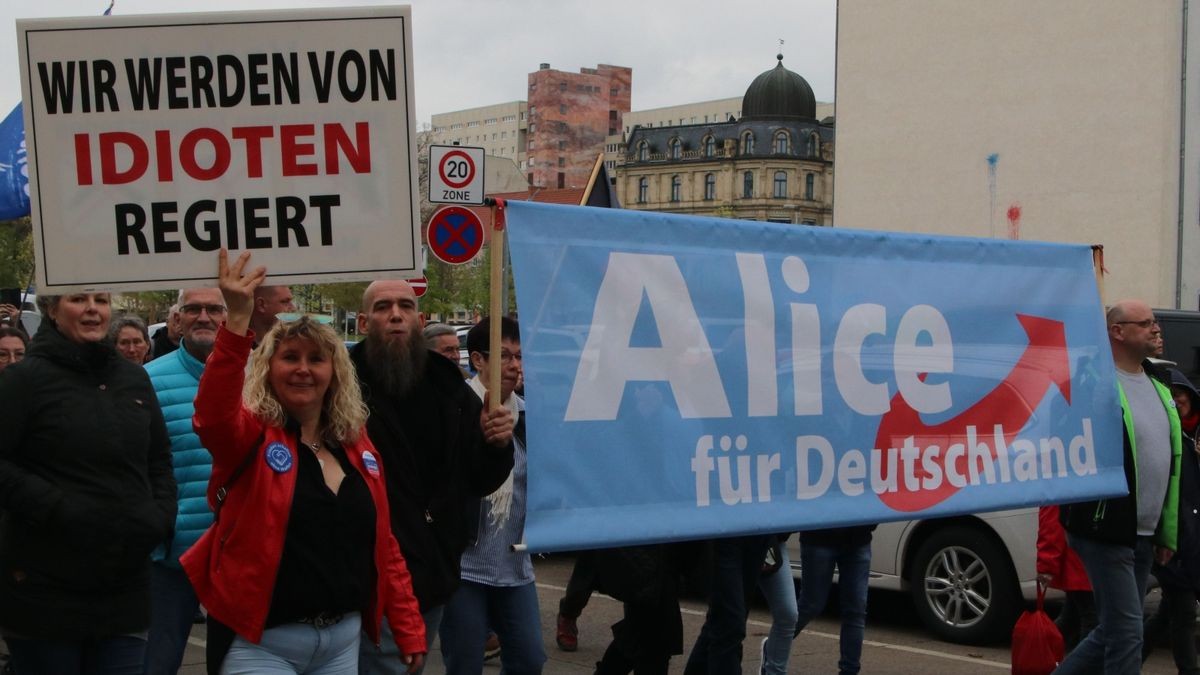 In Erfurt hat die AfD Thüringen am Samstag zu einer Demonstration und Kundgebung aufgerufen. 800 Menschen folgten dem Demo-Aufruf, etwa 1100 waren später bei der Kundgebung. Es gab auch eine Gegendemonstration mit mehreren hundert Teilnehmern.