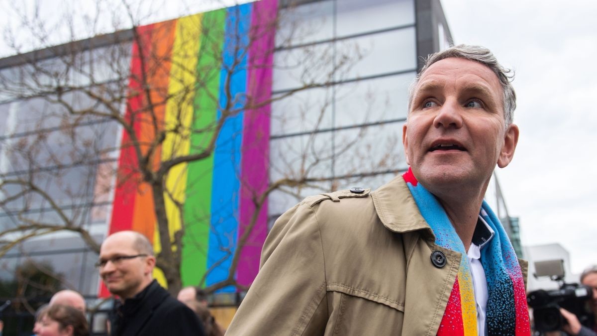 Demonstration des AfD-Landesverbandes, u.a. mit AfD Bundesfraktionschefin Alice Weidel und Bjoern Höcke (AfD-Fraktionsvorsitzender).