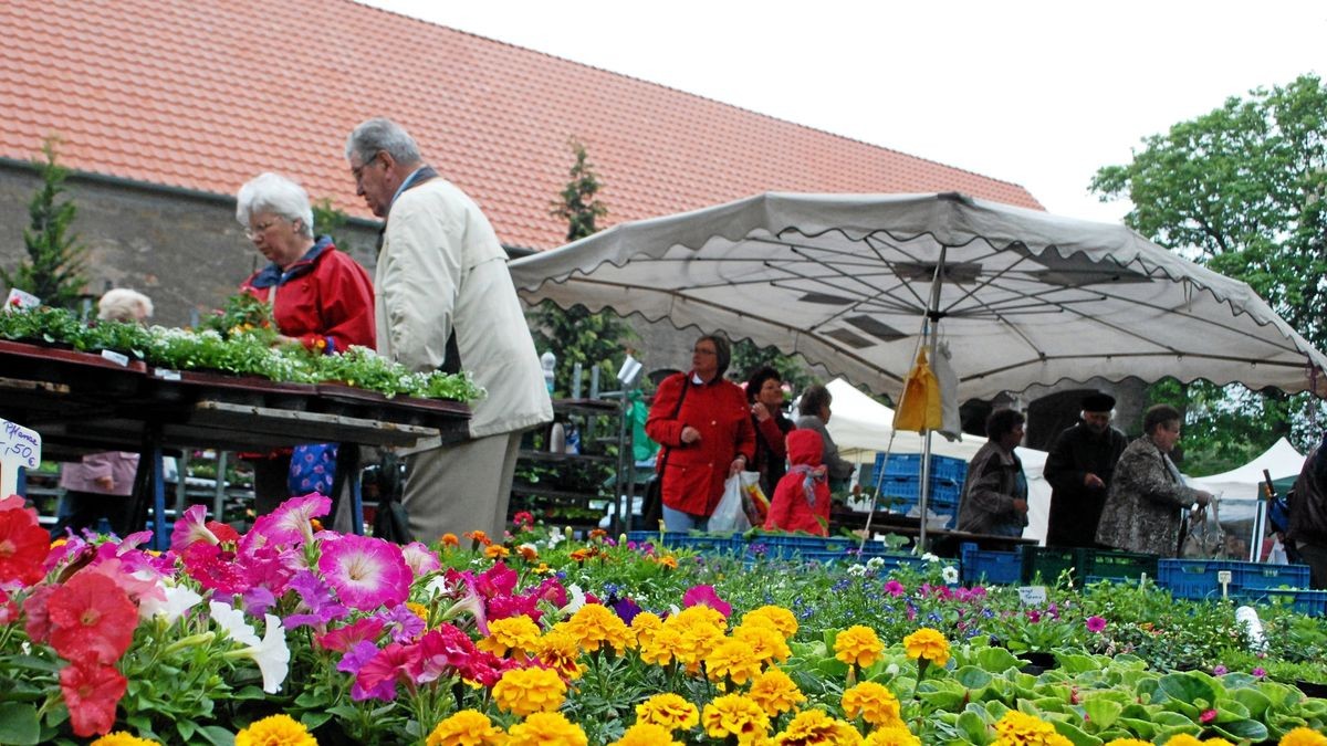 Blumenmarkt in Braunsroda