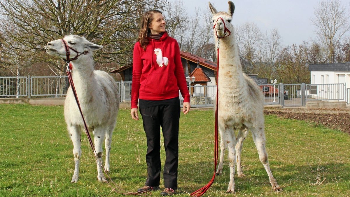 Alina Kroll mit ihren Unstrut-Lamas (Archivbild) ist Teil einer neuen Videoporträt-Reihe Reihe des Regionalmanagements Nordthüringen.  