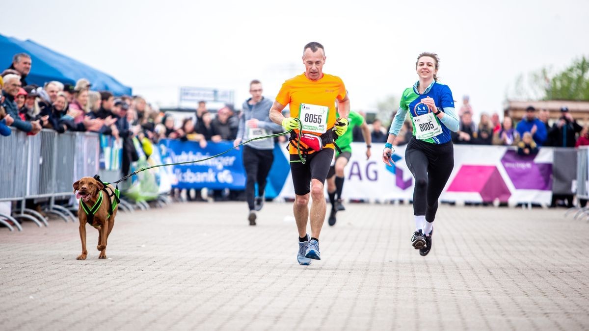 Der 9. Harztorlauf war mit über 600 Teilnehmern ein voller Erfolg. Bis hin zur Halbmarathonstrecke war am Sonntag alles vertreten.