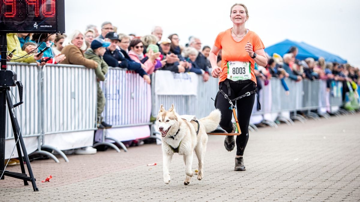 Der 9. Harztorlauf war mit über 600 Teilnehmern ein voller Erfolg. Bis hin zur Halbmarathonstrecke war am Sonntag alles vertreten.