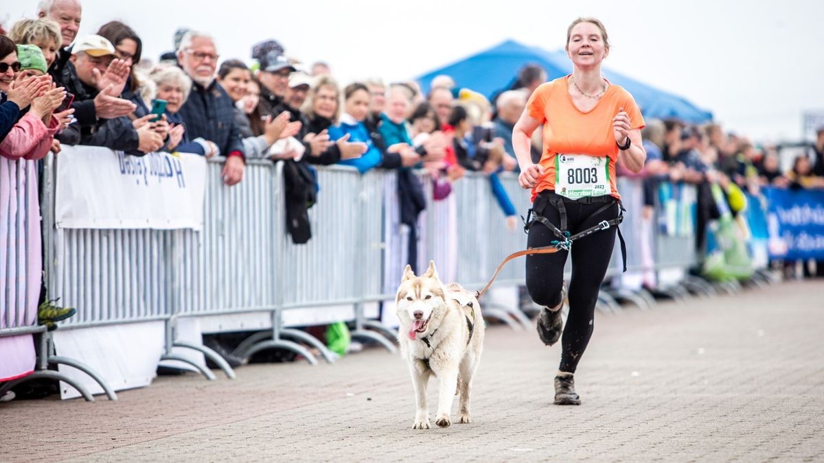 Der 9. Harztorlauf war mit über 600 Teilnehmern ein voller Erfolg. Bis hin zur Halbmarathonstrecke war am Sonntag alles vertreten.