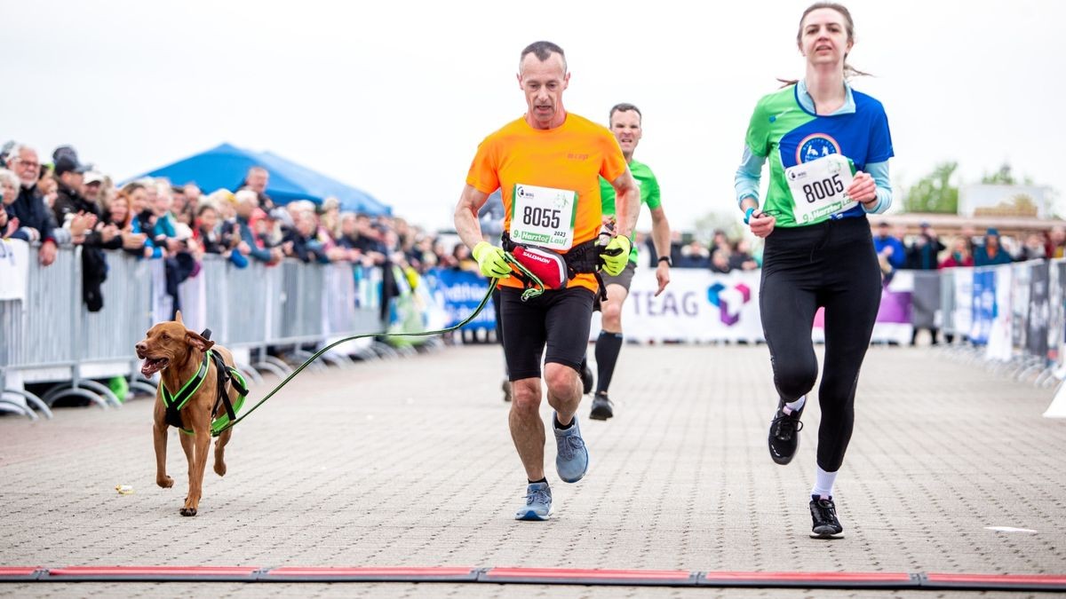 Der 9. Harztorlauf war mit über 600 Teilnehmern ein voller Erfolg. Bis hin zur Halbmarathonstrecke war am Sonntag alles vertreten.