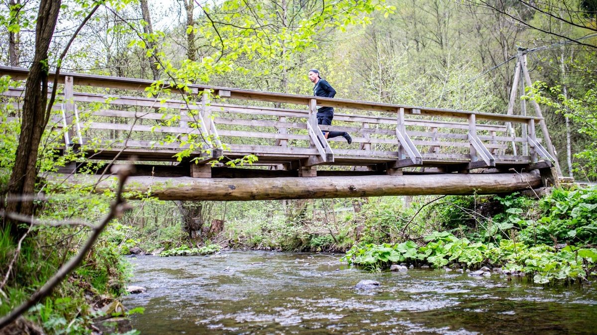 Der 9. Harztorlauf war mit über 600 Teilnehmern ein voller Erfolg. Bis hin zur Halbmarathonstrecke war am Sonntag alles vertreten.