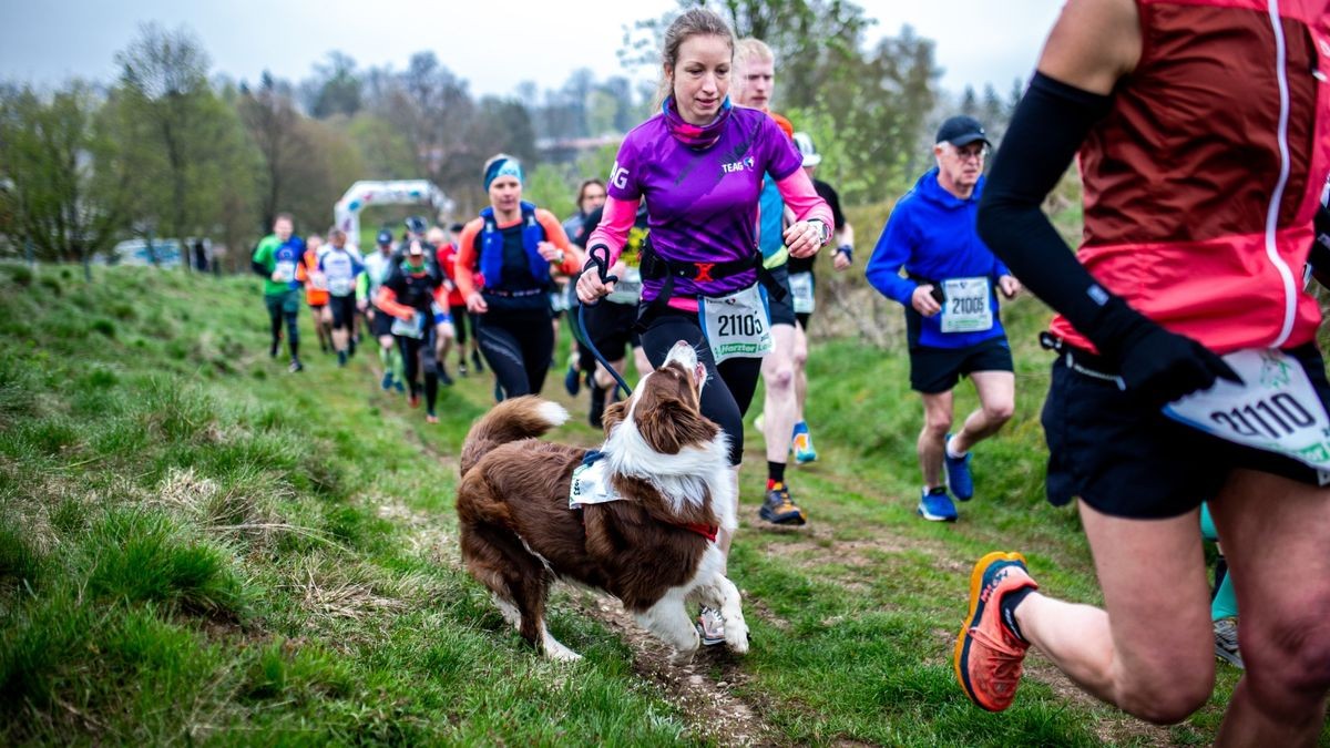 Der 9. Harztorlauf war mit über 600 Teilnehmern ein voller Erfolg. Bis hin zur Halbmarathonstrecke war am Sonntag alles vertreten.