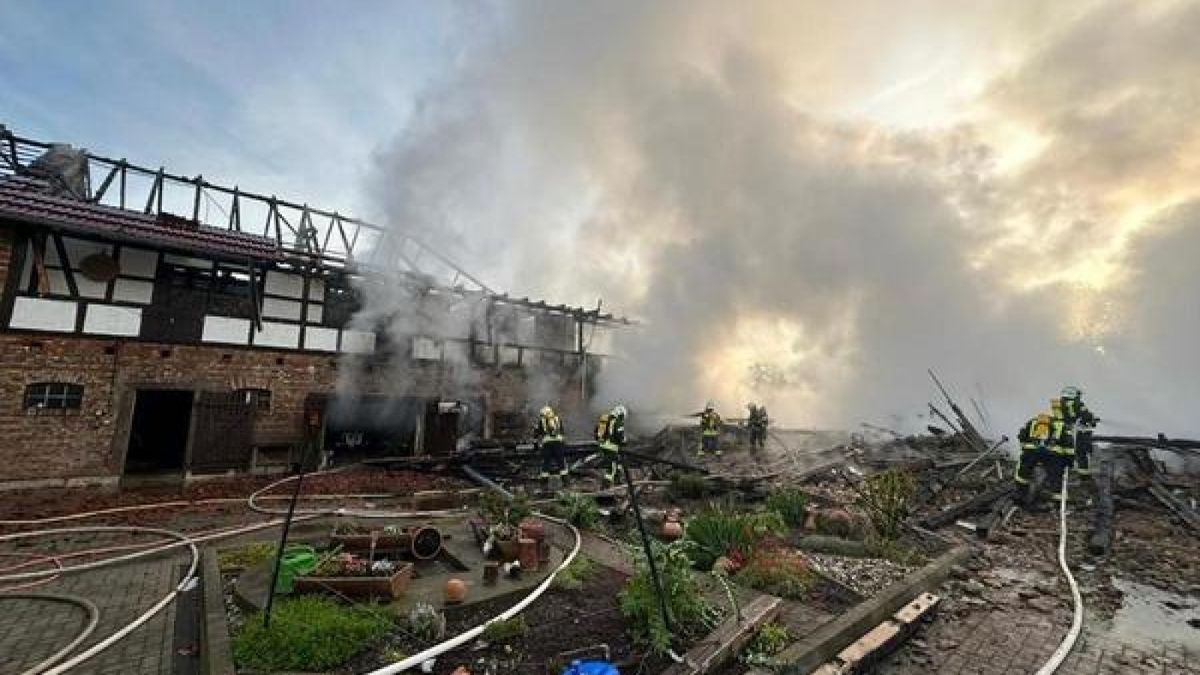 Die Feuerwehren wurden zu einem Großbrand in Schönstedt alarmiert.