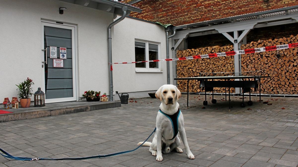 Labrador Aaron schlug an, als nebenan die Scheune in Flammen stand. Auch das Grundstück der Besitzerfamilie wurde in Mitleidenschaft gezogen. An der Physiotherapiepraxis im Hintergrund zerstörte das Feuer das Dach.