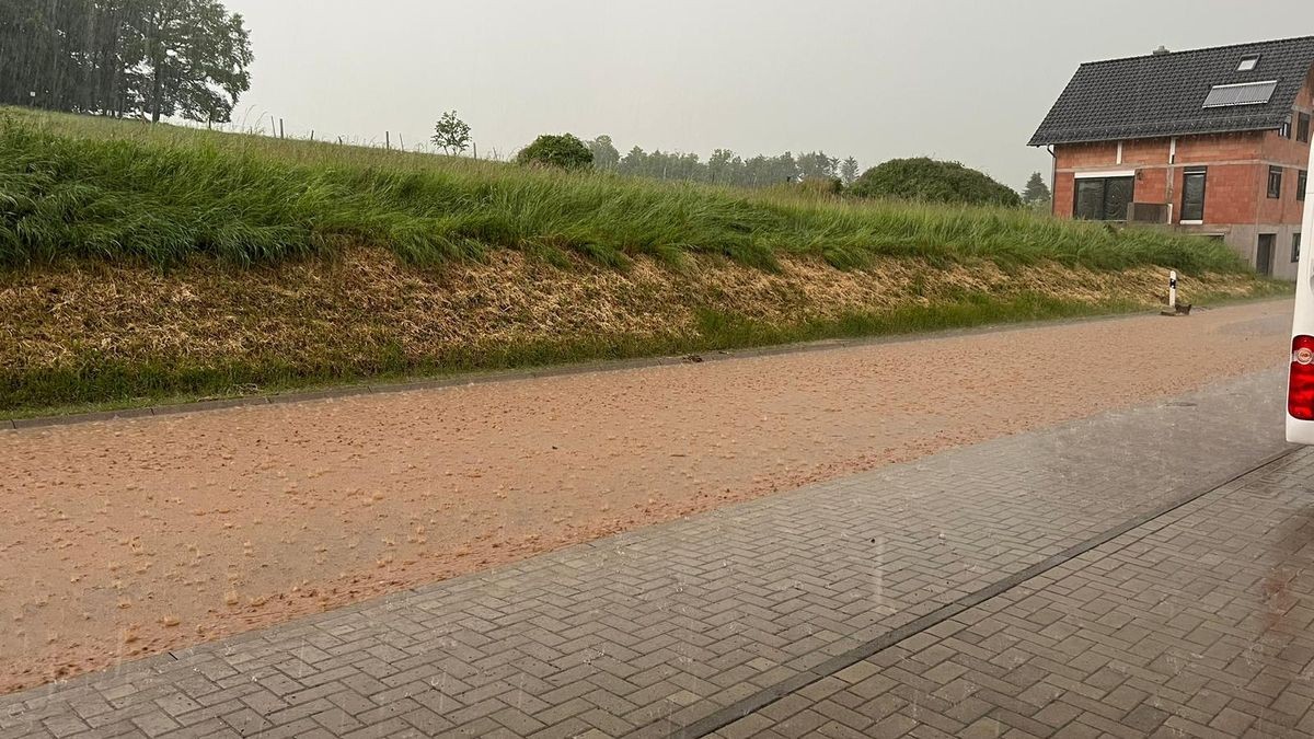 In Burgwalde waren am Montagabend 17 Feuerwehrleute und die Anwohner damit beschäftigt, Schlamm von Maisfeldern und Wassermassen zu beseitigen. Die Schotten mussten im Dorf aktiviert und Sandsäcke befüllt werden. Es gelang, den Schlamm aus dem Dorf herauszuhalten. Die Straße zum Autobahnzubringer musste voll gesperrt werden. Der Einsatz dauerte dreieinhalb Stunden.