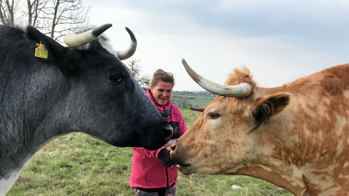 Jana Lindemann führt seit 1997 privat einen Gnadenhof für Tiere. Ihre Rinder Edward (schwarz) und Cosmo würden sich sehr über weibliche Gesellschaft freuen.