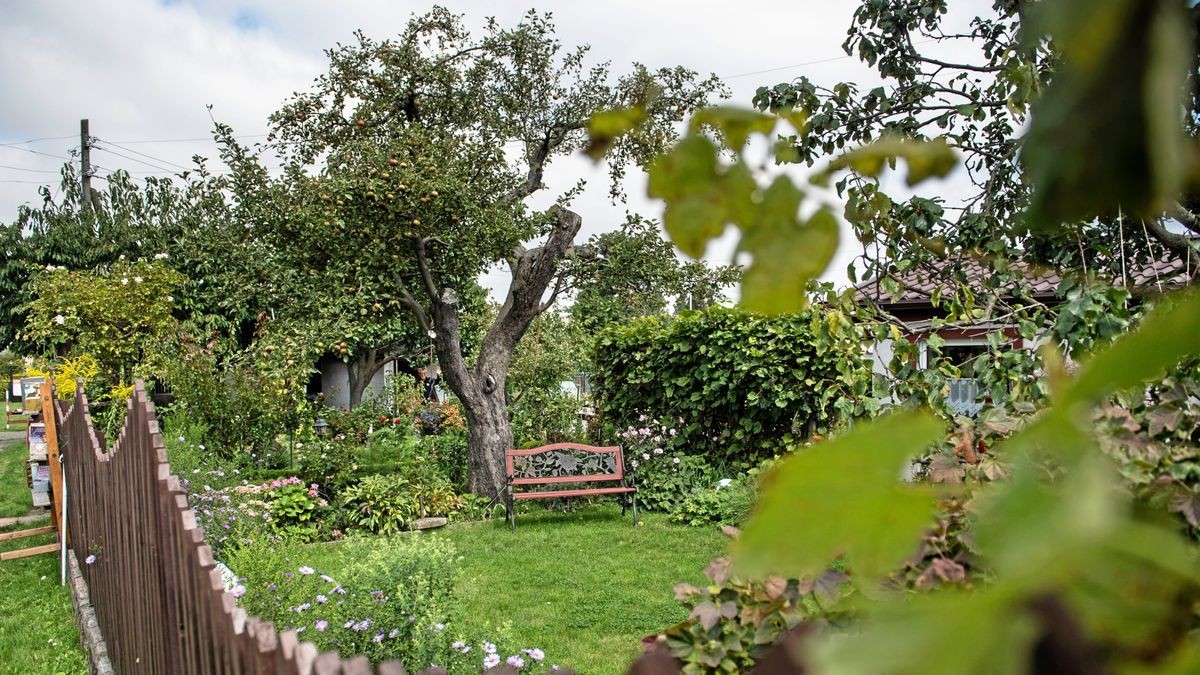 Berlin So wird Pankows kreativste Kleingartenanlage zum FernsehHit