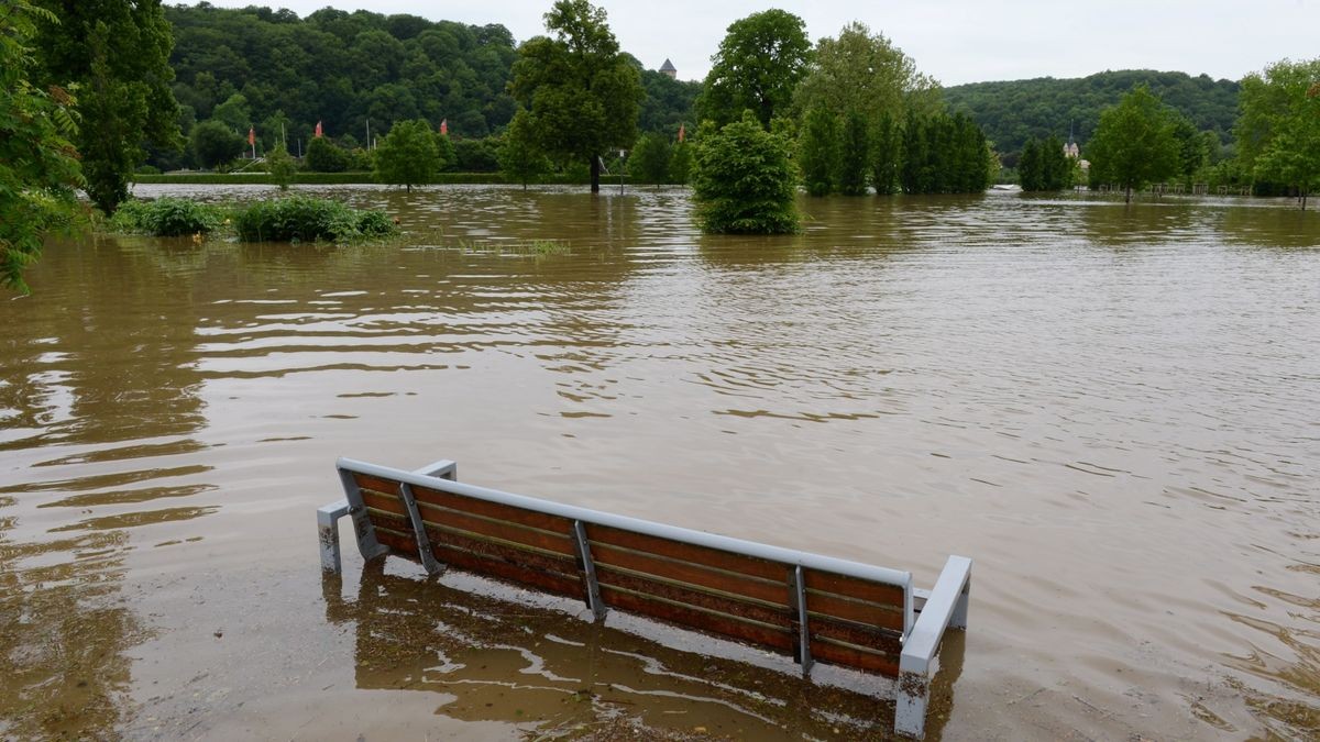 Hier der Hofwiesenpark in Gera-Untermhaus.