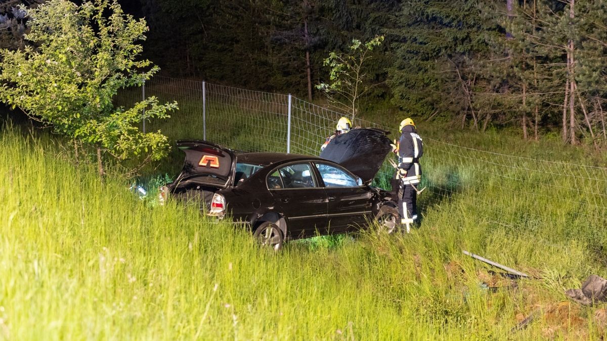 Es konnte sich selbst aus dem Fahrzeug befreien und kam verletzt in ein Krankenhaus. 