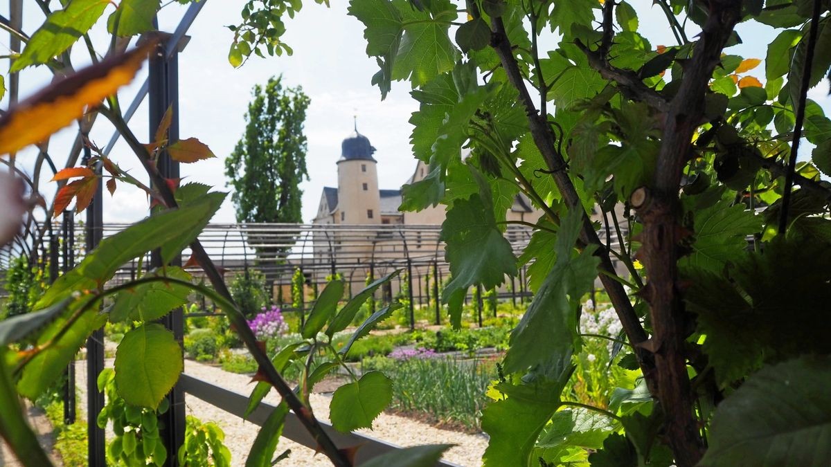 Premiere auf Schloss Kannawurf