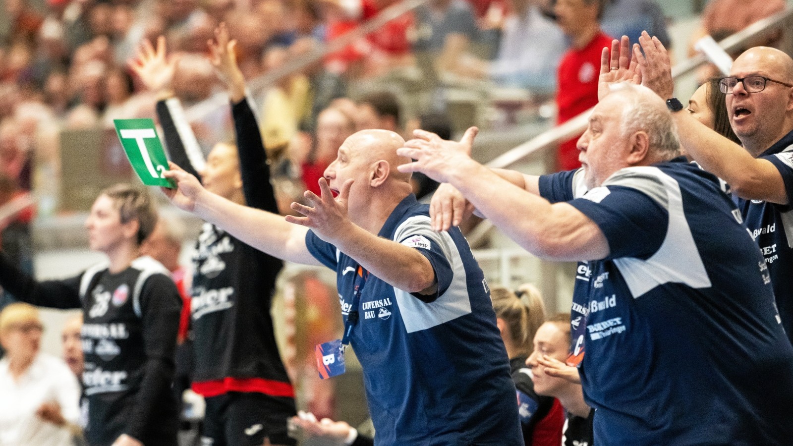 Thc Trainer Müller Nach Ludwigsburg Insolvenz Ist Hier Etwas Faul Die Brisanten Details - 6o4ecbq