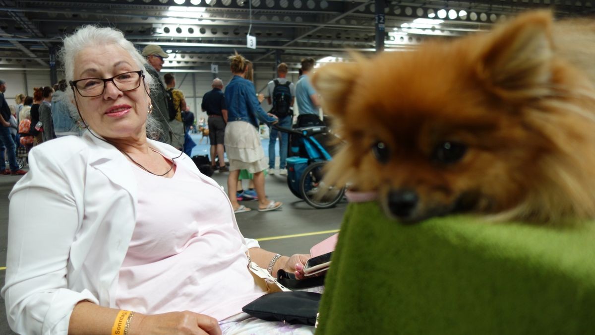 Die Rassehundeschau und die Rassekatzen-Ausstellung auf der Messe Erfurt sind auch in diesem Jahr die Klassentreffen der schönsten Vierbeiner. Die Resonanz bei Ausstellern und Zuschauern fiel aber deutlich geringer aus.