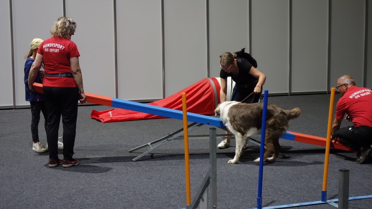 Die Rassehundeschau und die Rassekatzen-Ausstellung auf der Messe Erfurt sind auch in diesem Jahr die Klassentreffen der schönsten Vierbeiner. Die Resonanz bei Ausstellern und Zuschauern fiel aber deutlich geringer aus.