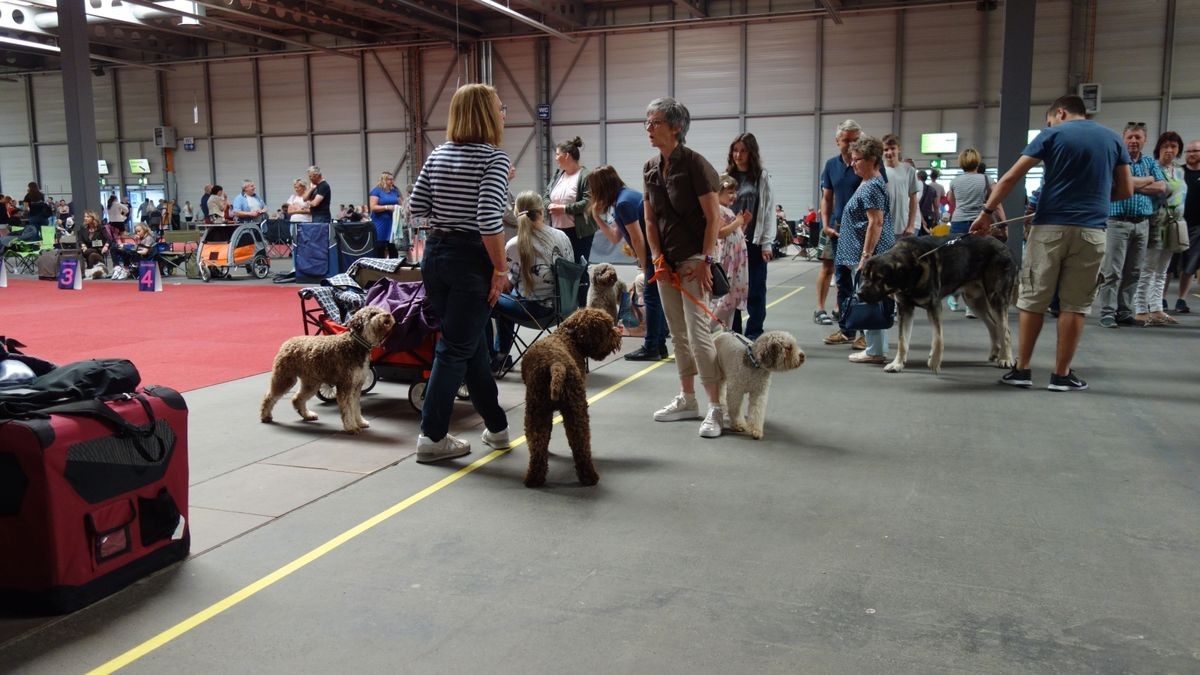 Die Rassehundeschau und die Rassekatzen-Ausstellung auf der Messe Erfurt sind auch in diesem Jahr die Klassentreffen der schönsten Vierbeiner. Die Resonanz bei Ausstellern und Zuschauern fiel aber deutlich geringer aus.