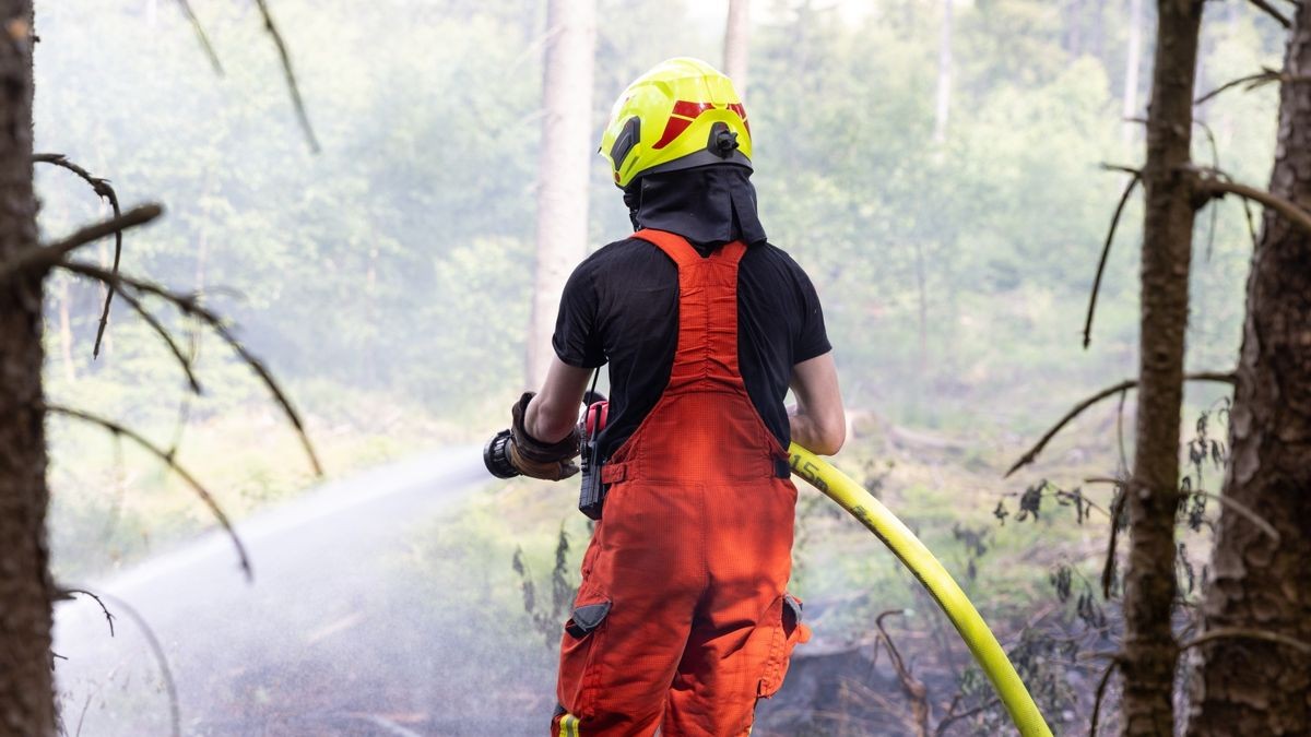 Zu einem Brand in einem Waldstück im Landkreis Ilm-Kreis wurden die Kräfte der Feuerwehr am Montagnachmittag (05.06.23) nach Gehren bei Ilmenau alarmiert. Hier branden im tiefen Inneren des Waldes rund 200 Quadratmeter Waldfläche. Die Einsatzkräfte löschten diese und konnten das Übergreifen auf eine Forstmaschine noch verhindern. Mit Haken musste der Boden umgegraben werden, um weitere Glutnester zu löschen. Wie der Brand entstanden ist, ist derzeit noch unklar.