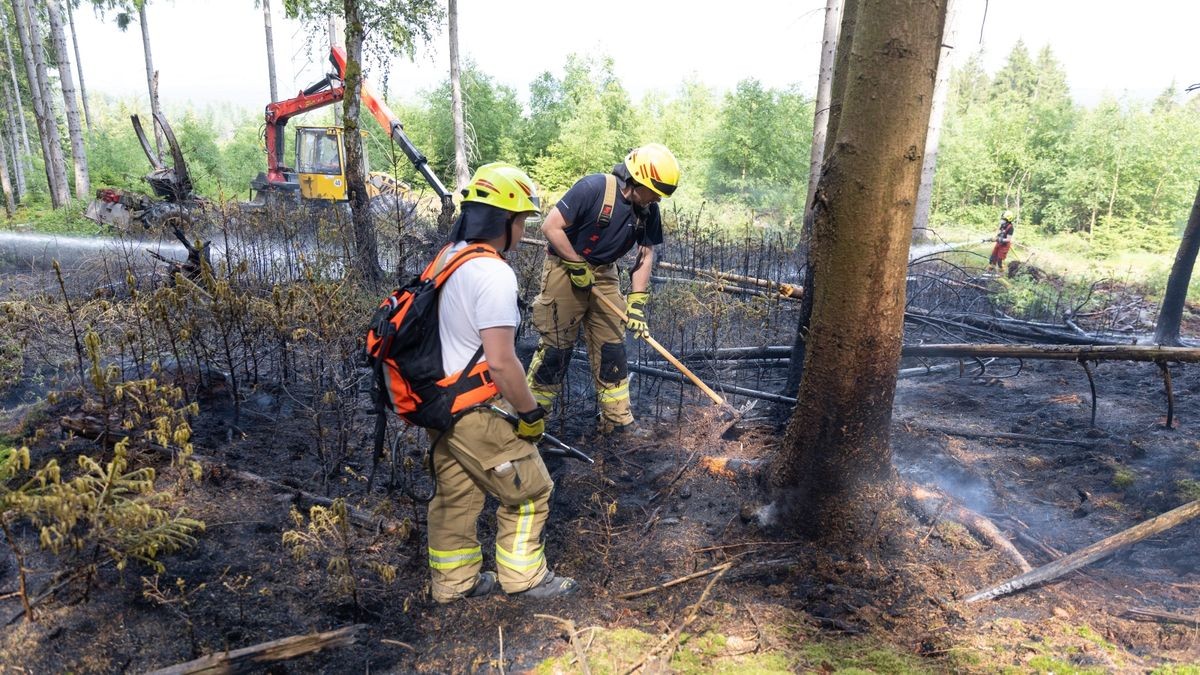 Zu einem Brand in einem Waldstück im Landkreis Ilm-Kreis wurden die Kräfte der Feuerwehr am Montagnachmittag (05.06.23) nach Gehren bei Ilmenau alarmiert. Hier branden im tiefen Inneren des Waldes rund 200 Quadratmeter Waldfläche. Die Einsatzkräfte löschten diese und konnten das Übergreifen auf eine Forstmaschine noch verhindern. Mit Haken musste der Boden umgegraben werden, um weitere Glutnester zu löschen. Wie der Brand entstanden ist, ist derzeit noch unklar.