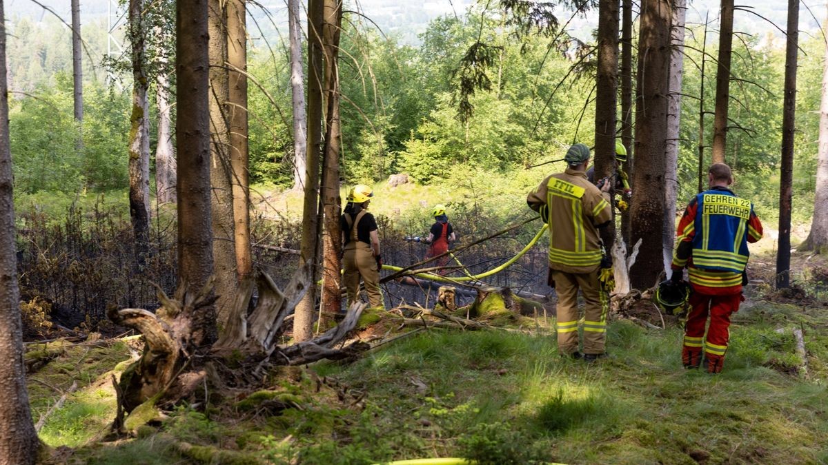 Zu einem Brand in einem Waldstück im Landkreis Ilm-Kreis wurden die Kräfte der Feuerwehr am Montagnachmittag (05.06.23) nach Gehren bei Ilmenau alarmiert. Hier branden im tiefen Inneren des Waldes rund 200 Quadratmeter Waldfläche. Die Einsatzkräfte löschten diese und konnten das Übergreifen auf eine Forstmaschine noch verhindern. Mit Haken musste der Boden umgegraben werden, um weitere Glutnester zu löschen. Wie der Brand entstanden ist, ist derzeit noch unklar.