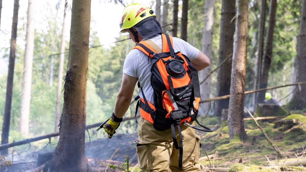 Zu einem Brand in einem Waldstück im Landkreis Ilm-Kreis wurden die Kräfte der Feuerwehr am Montagnachmittag (05.06.23) nach Gehren bei Ilmenau alarmiert. Hier branden im tiefen Inneren des Waldes rund 200 Quadratmeter Waldfläche. Die Einsatzkräfte löschten diese und konnten das Übergreifen auf eine Forstmaschine noch verhindern. Mit Haken musste der Boden umgegraben werden, um weitere Glutnester zu löschen. Wie der Brand entstanden ist, ist derzeit noch unklar.