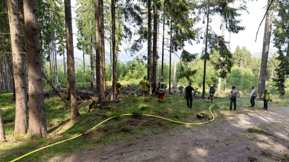 Zu einem Brand in einem Waldstück im Landkreis Ilm-Kreis wurden die Kräfte der Feuerwehr am Montagnachmittag (05.06.23) nach Gehren bei Ilmenau alarmiert. Hier branden im tiefen Inneren des Waldes rund 200 Quadratmeter Waldfläche. Die Einsatzkräfte löschten diese und konnten das Übergreifen auf eine Forstmaschine noch verhindern. Mit Haken musste der Boden umgegraben werden, um weitere Glutnester zu löschen. Wie der Brand entstanden ist, ist derzeit noch unklar.