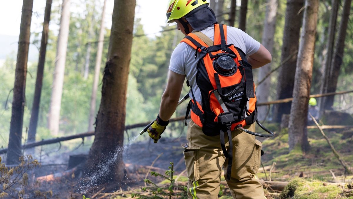 Hier branden im tiefen Inneren des Waldes rund 200 Quadratmeter Waldfläche. 