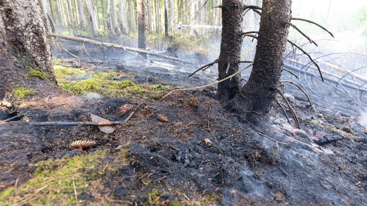 Zu einem Brand in einem Waldstück im Landkreis Ilm-Kreis wurden die Kräfte der Feuerwehr am Montagnachmittag (05.06.23) nach Gehren bei Ilmenau alarmiert. Hier branden im tiefen Inneren des Waldes rund 200 Quadratmeter Waldfläche. Die Einsatzkräfte löschten diese und konnten das Übergreifen auf eine Forstmaschine noch verhindern. Mit Haken musste der Boden umgegraben werden, um weitere Glutnester zu löschen. Wie der Brand entstanden ist, ist derzeit noch unklar.