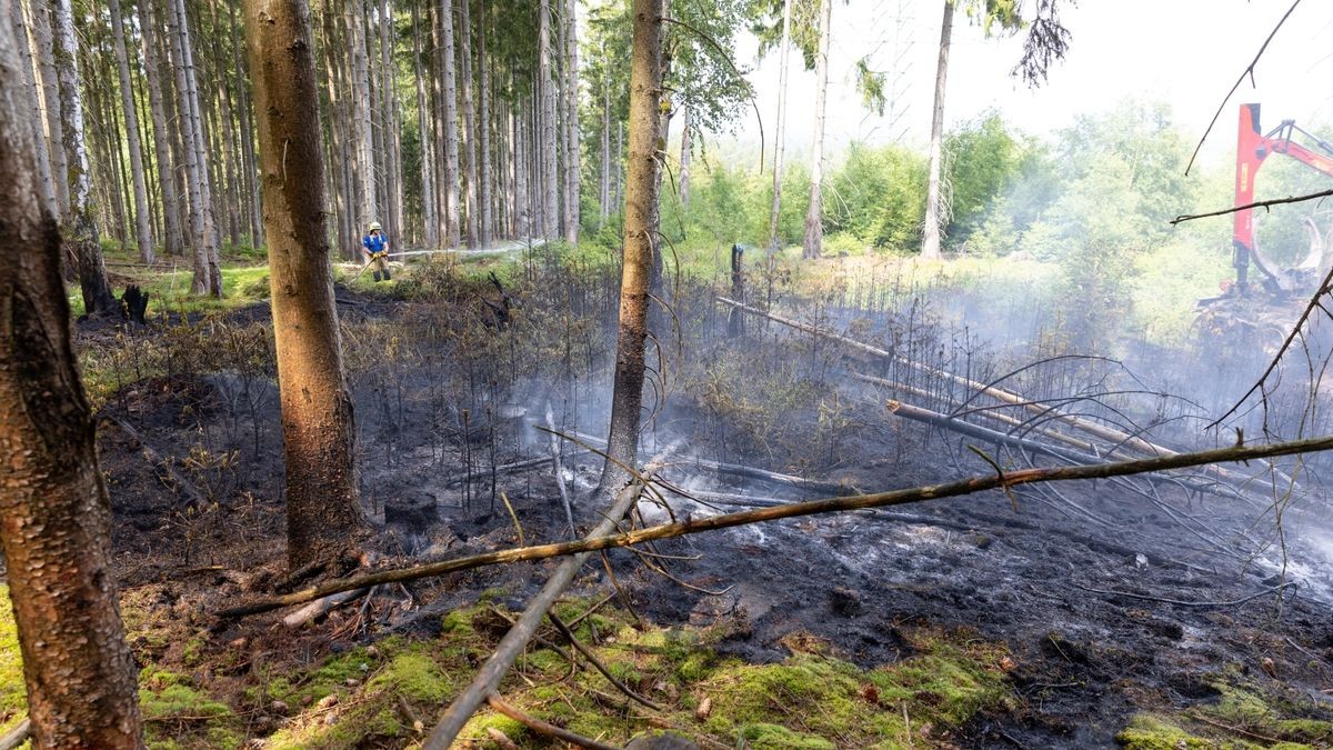 Zu einem Brand in einem Waldstück im Landkreis Ilm-Kreis wurden die Kräfte der Feuerwehr am Montagnachmittag (05.06.23) nach Gehren bei Ilmenau alarmiert. Hier branden im tiefen Inneren des Waldes rund 200 Quadratmeter Waldfläche. Die Einsatzkräfte löschten diese und konnten das Übergreifen auf eine Forstmaschine noch verhindern. Mit Haken musste der Boden umgegraben werden, um weitere Glutnester zu löschen. Wie der Brand entstanden ist, ist derzeit noch unklar.