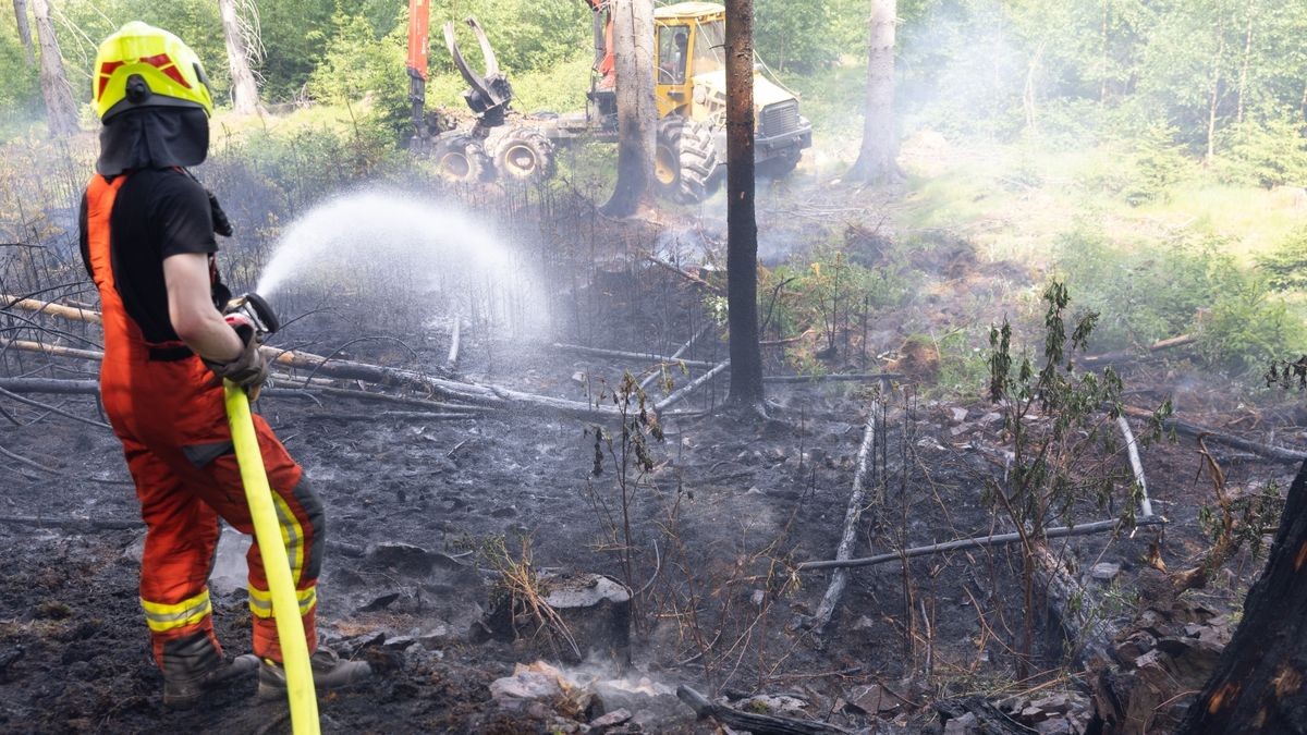 Zu einem Brand in einem Waldstück im Landkreis Ilm-Kreis wurden die Kräfte der Feuerwehr am Montagnachmittag (05.06.23) nach Gehren bei Ilmenau alarmiert.